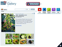 Tablet Screenshot of gallery.nen.gov.uk